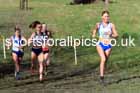 Senior women, 2024 Northern Cross Country Relays, Graves Park, Sheffield.   Photo: David T. Hewitson/Sports for All Pics